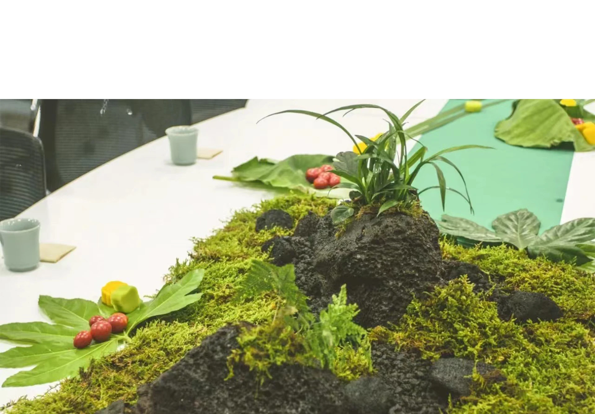 Giả Rêu Nhân Tạo Rêu Cho Chậu  - đánh giá và giá Terrarium Moss Art