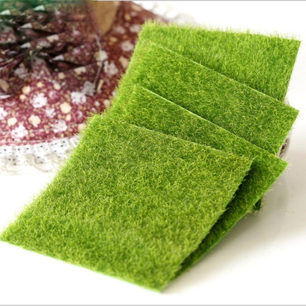 Ecological Lawn Decor Garden O - đánh giá và giá Terrarium Moss Art