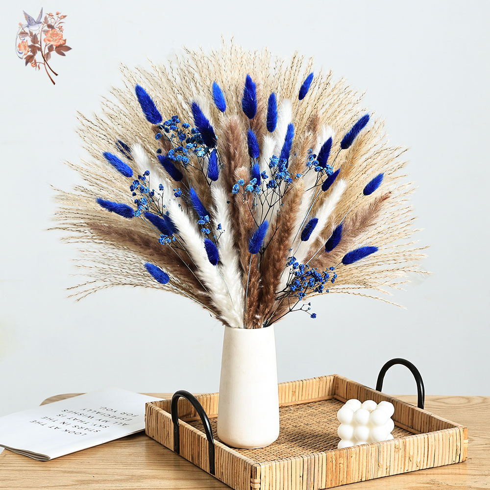 70 Stem Blue Fluffly Rabbit Ta - đánh giá và giá Dried Flower Bulk