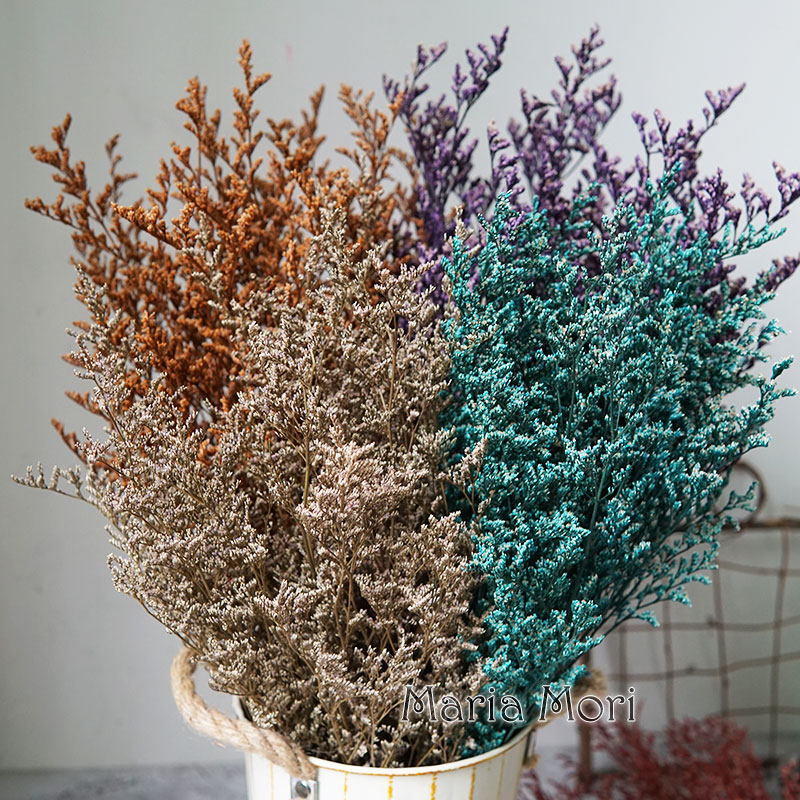INS Phổ Biến Được Bảo Quản Lễ  - đánh giá và giá Dried Flower Bulk