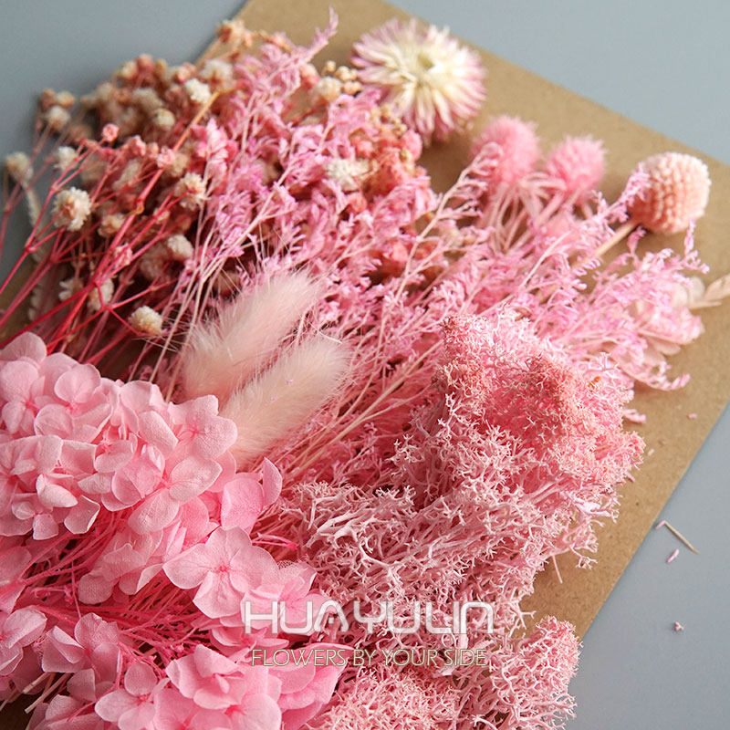 1 Pack Artificial Plants Dried - đánh giá và giá Dried Flower Bulk