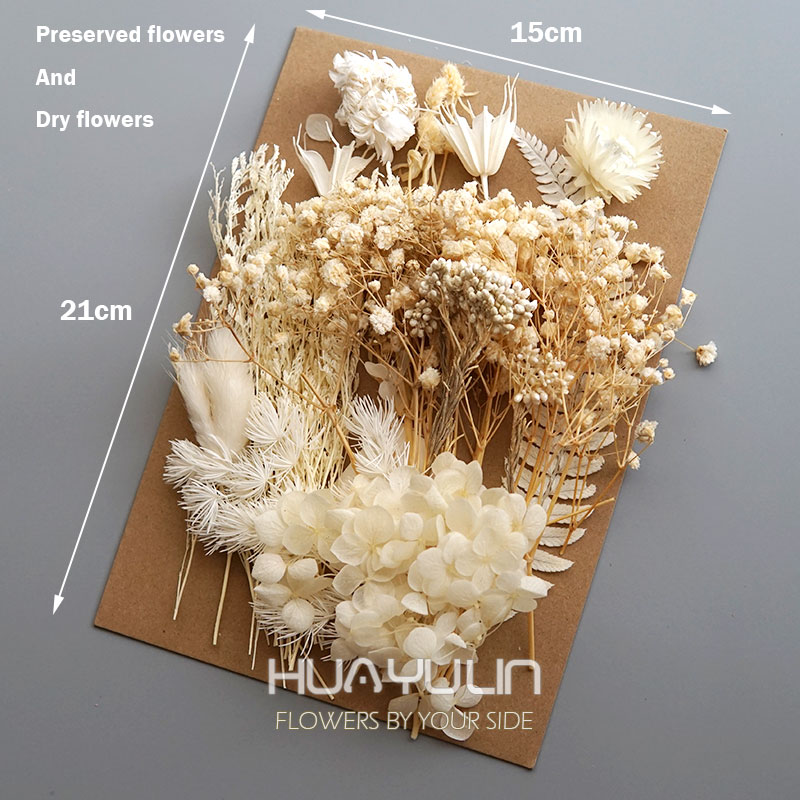 1 Pack Artificial Plants Dried - đánh giá và giá Dried Flower Bulk